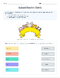 Animation Picture Matching