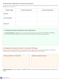 Mastering Cellular Respiration: Energy Flow Analysis