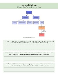 Primates: Characteristics, Classification, and Conservation