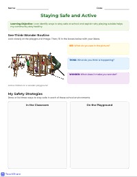 Creating Healthy, Safe, and Active Playgrounds