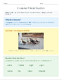 Categories and Attributes