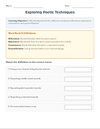 Poetic Techniques Assessment