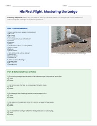 His First Flight: Comprehensive Student Workbook
