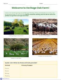 Do Now: Animal Identification