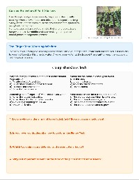 All About Marigolds