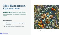 Мир бактерий, грибов и лишайников
