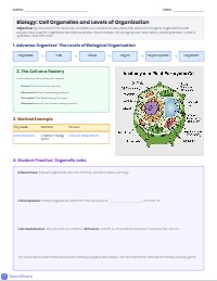 Unlocking Cellular Organization and Organelle Functions