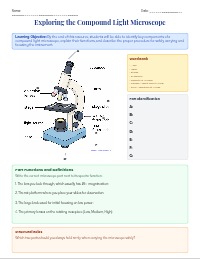 Introduction to the Compound Light Microscope