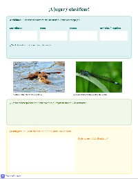 Animales de la Laguna
