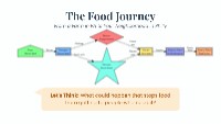 Exploring Food Access and Journey