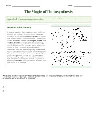 Understanding the Magic of Photosynthesis