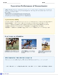 Equestrian Performance Analysis