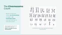 Down Syndrome and Meiotic Nondisjunction Slides