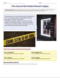 The Case of the Missing Mascot