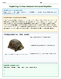 1 - The Amazing World of Turtles
