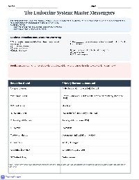 Endocrine System Hormones Guide