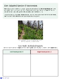 Understanding Wildfires and Their Impact