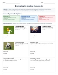 Exploring Symbiosis: Interactions in Nature