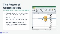 Data Entry & Formatting Basics