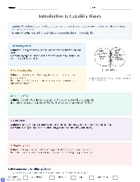 Cognitive Bias Detective