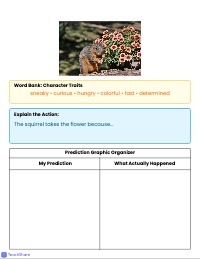 Character Traits and Predictions: The Flower Thief