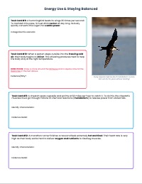 Characteristics of Living Things Task Cards