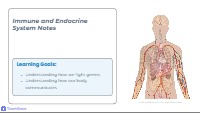 Your Amazing Body: Immune and Endocrine Systems
