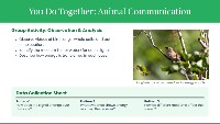 Sound Waves and Animal Communication