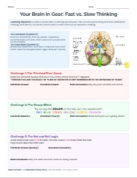 Fast Brain vs. Slow Brain Challenge