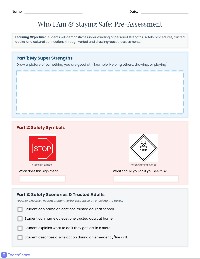 Safety and Connection Assessment