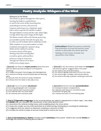 4th Grade Literary Analysis Reading Assessment