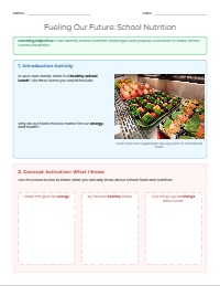 Healthy School Lunches: Understanding and Improving