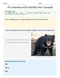 Tasmanian Devil Bell Ringer