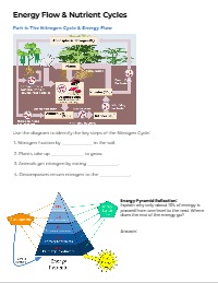 Unit 5 Lesson 4/5