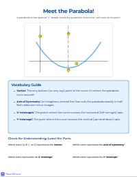 Quadratic Functions Vocabulary Guide