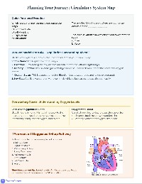Red Blood Cell Journey Scrapbook