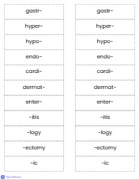Terms Flashcards