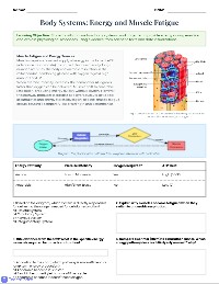 Energy Systems in Human Exercise