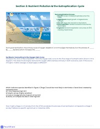 Systems Analysis: Development and Ecological Health