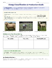 Selecting Sheep Breeds for Success