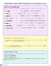 Brain Parts and Functions