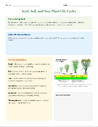 Plant Vocabulary Match