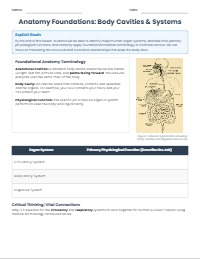 Foundations of Human Anatomy and Terminology
