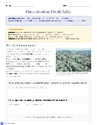 Understanding Fiscal Policy in the UAE