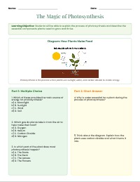 Exploring Photosynthesis: The Magic School Bus