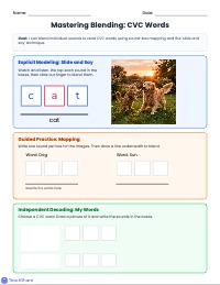 Mastering Word Blending: From CVC to Complex Patterns