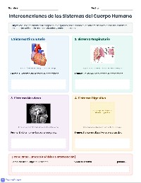 Sistemas del Cuerpo Humano