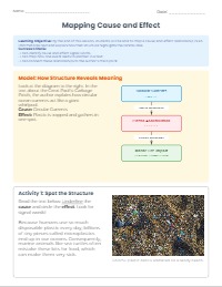 Guided Practice: Text Structure Mapping