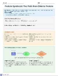 Protein Synthesis Flowchart