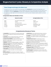 Comprehensive Unit 8 Biogeochemical Cycles Review